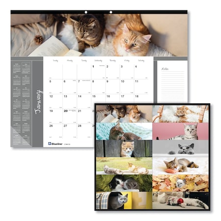 Pets Collection Monthly Desk Pad, 22 X 17, Furry Kittens, 2020